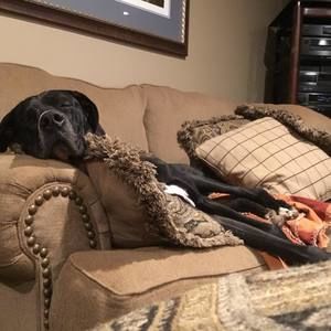 Meet your Posher, Kim